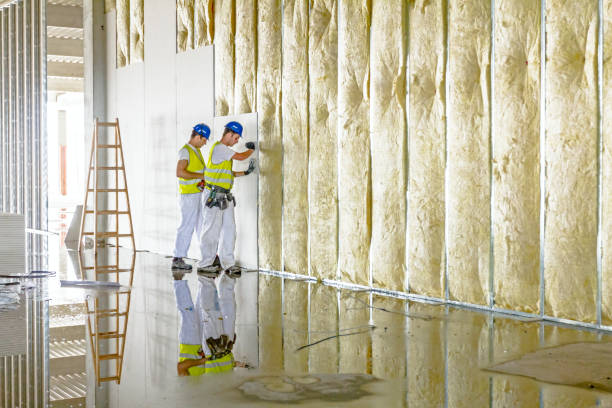 Best Insulation Maintenance and Repair in Warsaw, IN